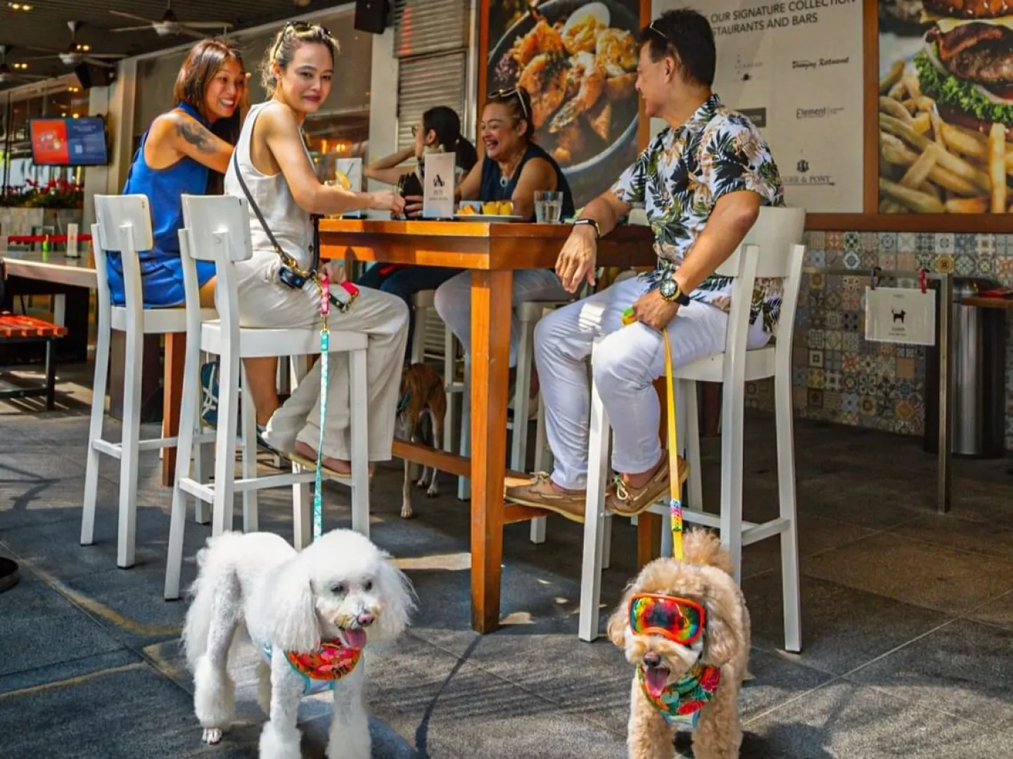 在特拉斯街的 Element 玩狗和玩耍